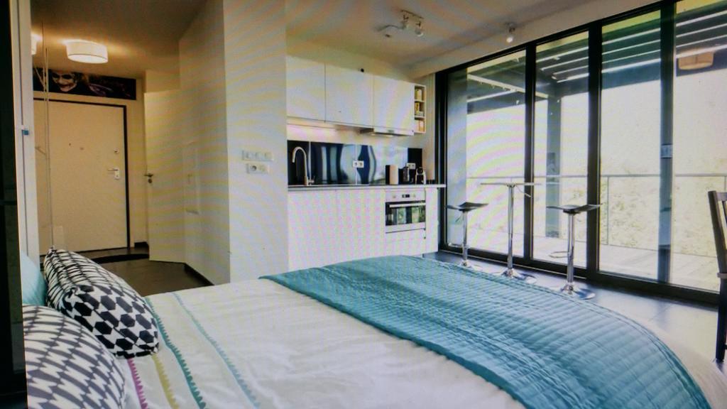 Studio Avec Terrace Docks Strasburgo Esterno foto